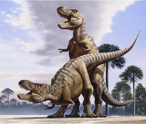 500px x 426px - T Rex Sex How Dinosaurs Celebrated Hump Day | CLOUDY GIRL PICS